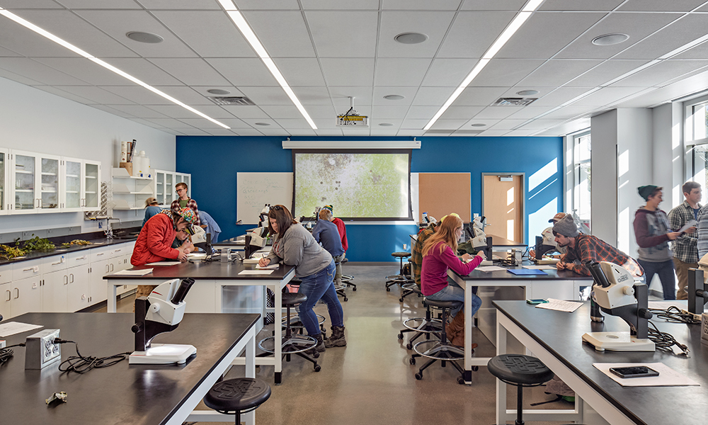 <p>Ground floor teaching labs bring undergraduates into the facility, encouraging interest and putting science on display.</p>
