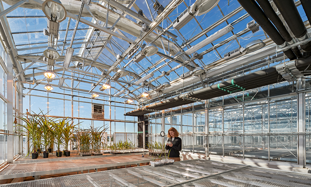 <p>The roof holds nine greenhouses for plant pathology, microbiology, entomology, genetics, and developmental and cell biology studies.</p>
