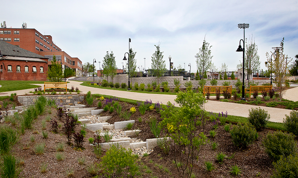 <p>The landscape includes creative infrastructure that reduces pollution caused by storm water runoff from roadways and other impervious surfaces. </p>
