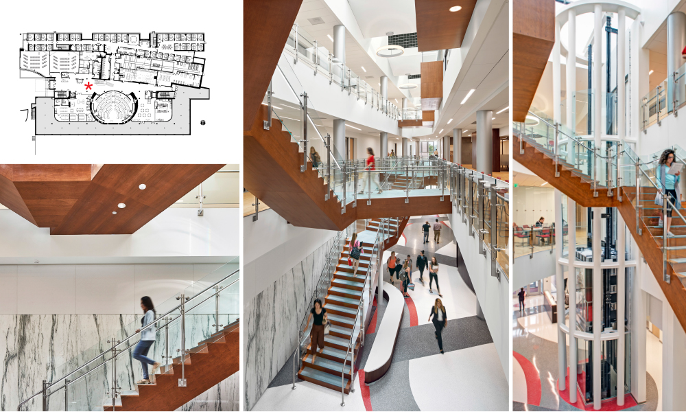 <p>The Atrium is enlivened by the activity of people circulating: up, down and around via the balcony corridors, open stairs, bridges and a glass elevator. Maple, cherry, and walnut finishes bring warmth to the sunlit space.</p>
