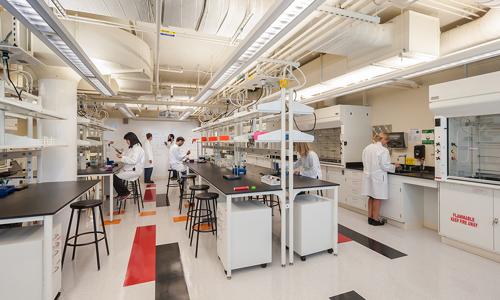 <p>Wet lab areas were redeveloped as open flexible space with a minimum of partitioning and fixed laboratory casework.</p>
