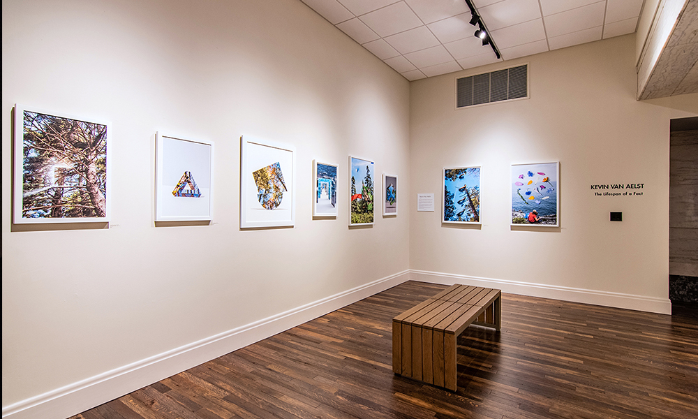 <p>The Gallery showcases local artists.</p>
