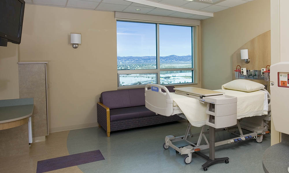 <p>The design provides mountain views through large glass windows in patient rooms.</p>
