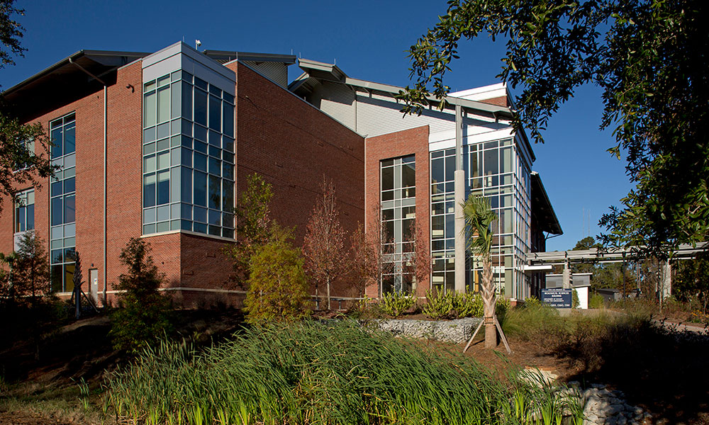<p>The Biological Sciences Building is itself a teaching tool for sustainability. All plantings, which were installed as a student project, are indigenous and were carefully selected to reduce irrigation requirements. The building handles storm-water runoff through bioswales, where water is cleaned before it moves on to rain chains directing water off the building. The bioswales serve both as storm-water management and a living lab. </p>
