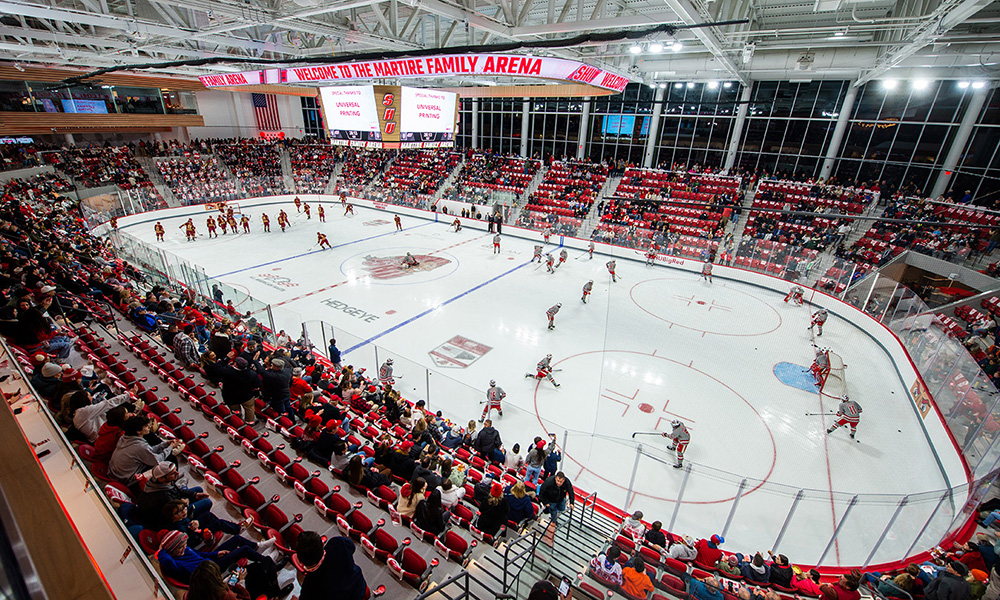 <p>The key driver in the design was to provide an exhilarating game experience with seating looming over the ice.</p>
