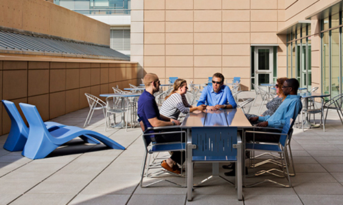 Duke University Medical School Terrace