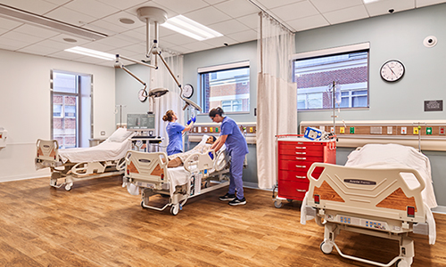 University of North Carolina Simulation Suite