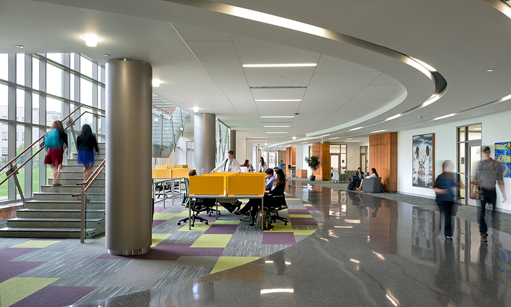 <p>The student-centric social edge provides a daylit environment critical to learning, ample space for student interaction and pre/post staging or expansion of the multi-purpose meeting hall.</p>
