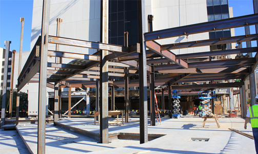 Western Michigan University School of Medicine Structural