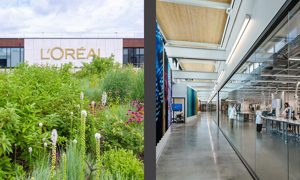<p>Recent and ongoing work for L’Oréal Groupe includes the <a href="https://slamcoll.com/portfolio/loreal-north-america-research-innovation-center/" target="_blank" rel="noopener">North America Research and Innovation Center.</a> Targeting LEED Platinum, the project has earned multiple awards recognizing excellence in sustainable design and research.</p>
